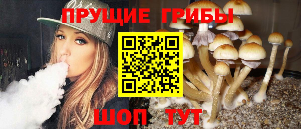 Анапа  Псилоцибиновые грибы Cubensis  закладка  Вход с VPN  Псилоцибиновые грибы мицелий 